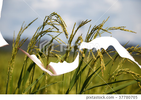 Double exposure of couple and mountains. 37780705