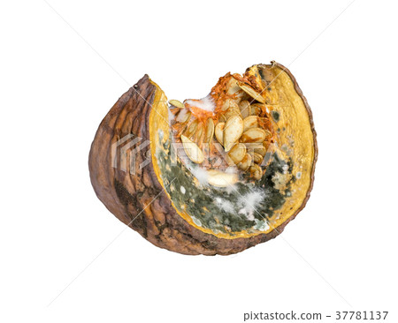 rotten, food, old 37781137