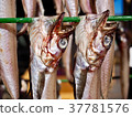Dried fish 37781576
