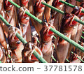 Dried fish 37781578