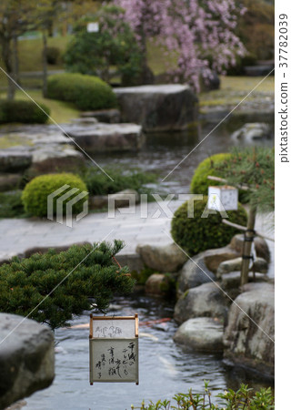 Uise's sink bowl 37782039