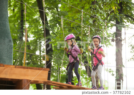 The obstacle course in adventure park  37782102