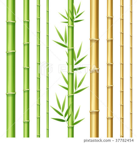 Realistic 3d Detailed Bamboo Shoots Set. Vector 37782454
