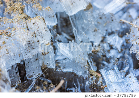 [神奈川縣]弗羅斯特支柱 37782789