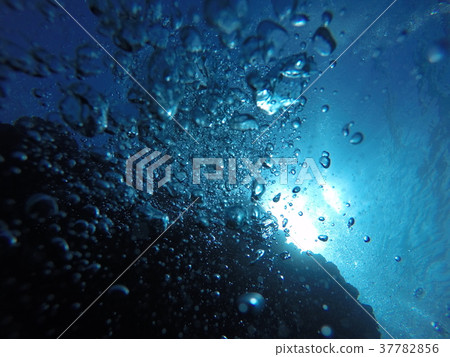 In the sea of Okinawa In the sea of Okinawa 37782856