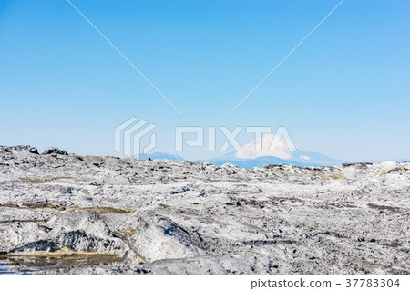 [Kanagawa] Jogashima Island 37783304
