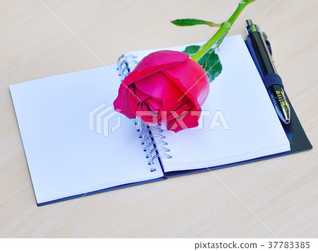 Red rose isolated and book on wood background Red rose isolated and book on wood background 37783385