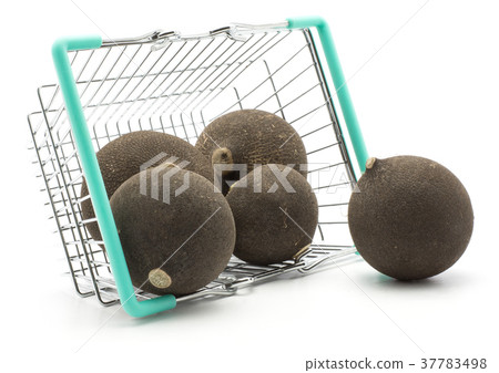 Black radish isolated on white Black radish isolated on white 37783498