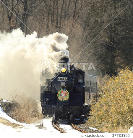 Winter Moka Railway SL 37783593