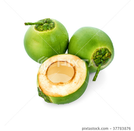 water drop green coconut isolated water drop green coconut isolated 37783876