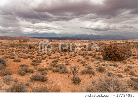 The Rocks of the Arches national Park 37784085