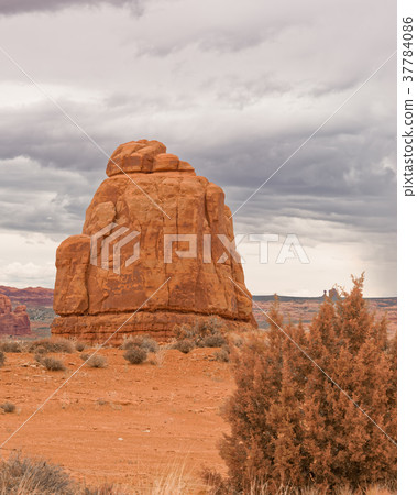 The Rocks of the Arches national Park 37784086
