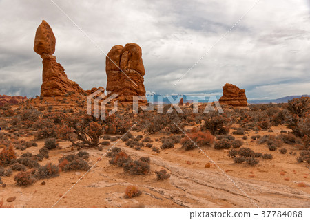 The Rocks of the Arches national Park 37784088