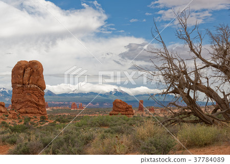 The Rocks of the Arches national Park 37784089