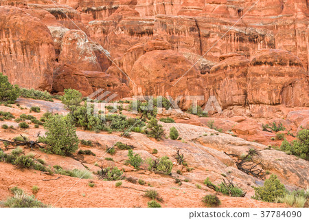 The Rocks of the Arches national Park 37784090