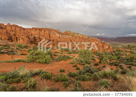 The Rocks of the Arches national Park 37784091