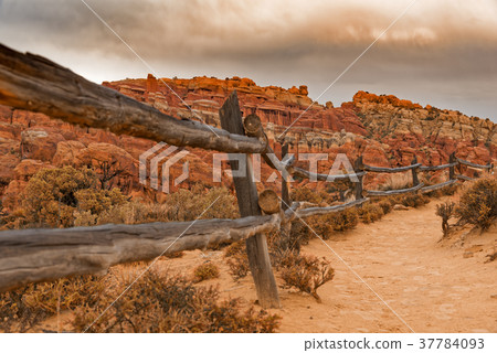 The Rocks of the Arches national Park 37784093