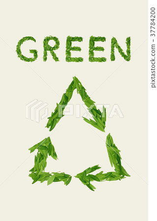 The green dry tea leaf, word GREEN on white 37784200