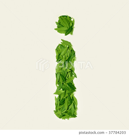 The green dry tea leaf, letter I on white 37784203