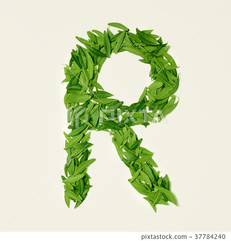 The green dry tea leaf, letter R on white The green dry tea leaf, letter R on white 37784240