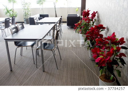 A flower accented in the meeting room corner with a chic woodgrain interior 37784257