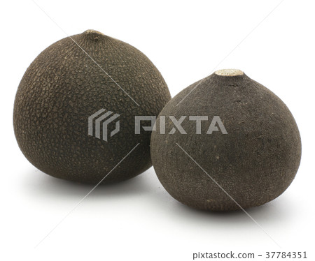 Black radish isolated on white Black radish isolated on white 37784351