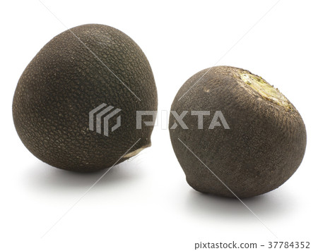 Black radish isolated on white Black radish isolated on white 37784352