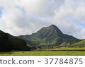 Kualoa Ranch 37784875