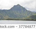 Kualoa Ranch 37784877