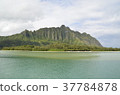 Kualoa Ranch 37784878
