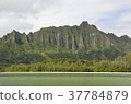 Kualoa Ranch 37784879
