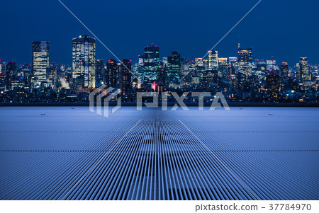 City seen from observation deck City seen from observation deck 37784970