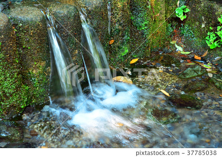 Clear stream of Kokubunji 37785038