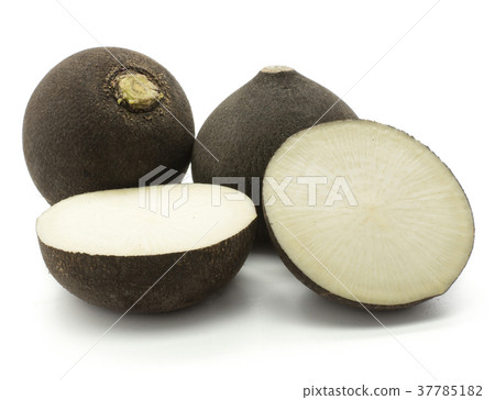Black radish isolated on white 37785182