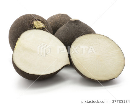 Black radish isolated on white 37785184