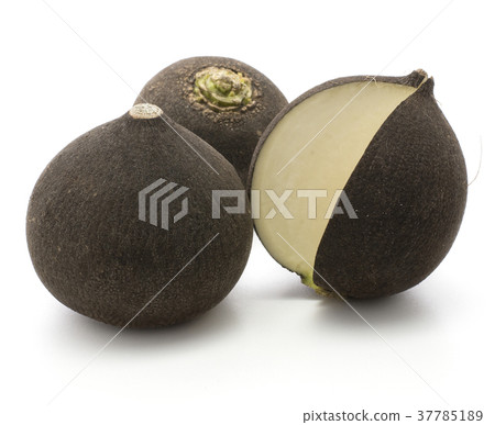 Black radish isolated on white 37785189
