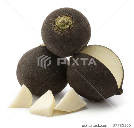 Black radish isolated on white Black radish isolated on white 37785190
