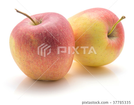 Raw evelina apple isolated Raw evelina apple isolated 37785335