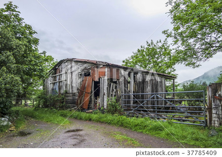 Old abandoned weathered wooden planked farmhouse 37785409