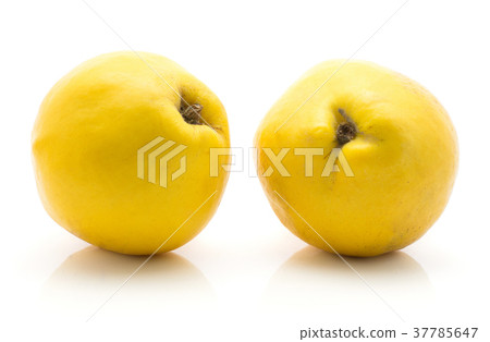 Fresh raw quince isolated on white 37785647
