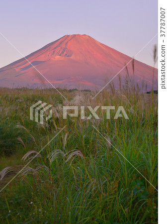 Autumn scenery from Suyama-4688 Autumn scenery from Suyama-4688 37787007