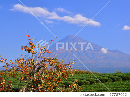 Autumn scenery from Iwamotoyama-4726 37787022
