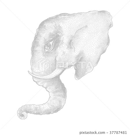 Elephant. Vector illustration 37787481