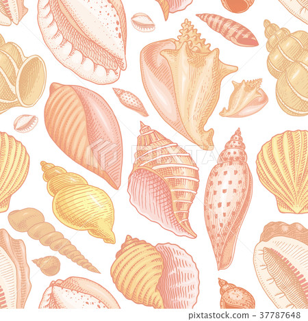 seamless pattern shells or mollusca different seamless pattern shells or mollusca different 37787648