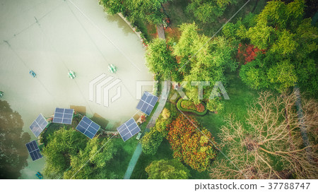 Alternative energy nature in park land Alternative energy nature in park land 37788747