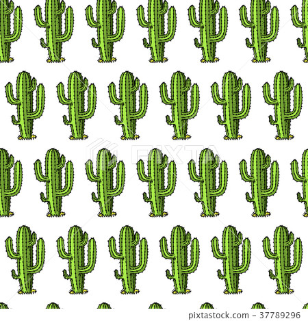 cactus seamless pattern. succulent or tropical 37789296