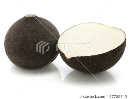 Black radish isolated on white 37789540