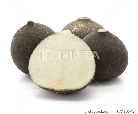 Black radish isolated on white Black radish isolated on white 37789543