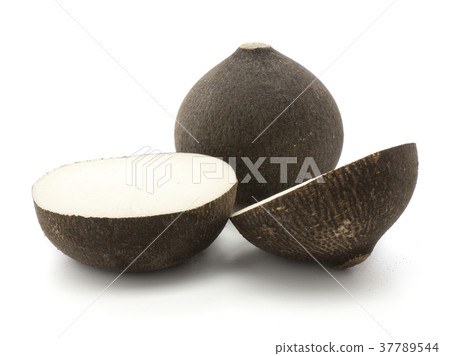 Black radish isolated on white Black radish isolated on white 37789544