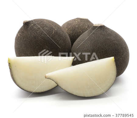 Black radish isolated on white Black radish isolated on white 37789545